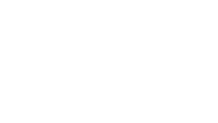 Geekr ny logo helt hvit
